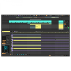 Ableton Live 12 Suite Yazılım - 4