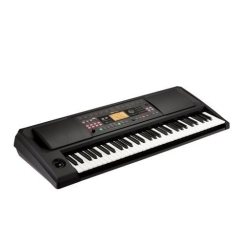 Korg EK50-L Entertainer Klavye - 1