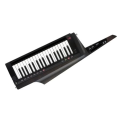 Korg RK-100S 2-BK - 1