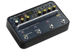 Korg SDD-3000-PEDAL Delay Pedalı - 2