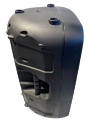 Samson Auro D12 Kabin Hoparlör - 2