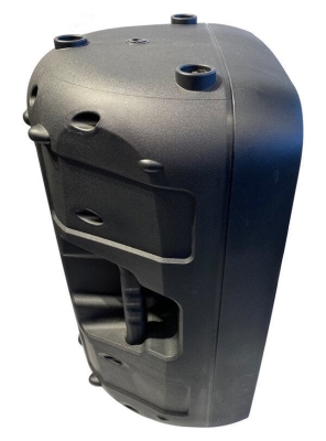 Samson Auro D12 Kabin Hoparlör - 2