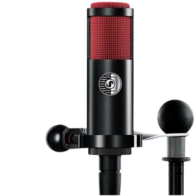 Shure KSM313/NE Ribon Mikrofon - 1
